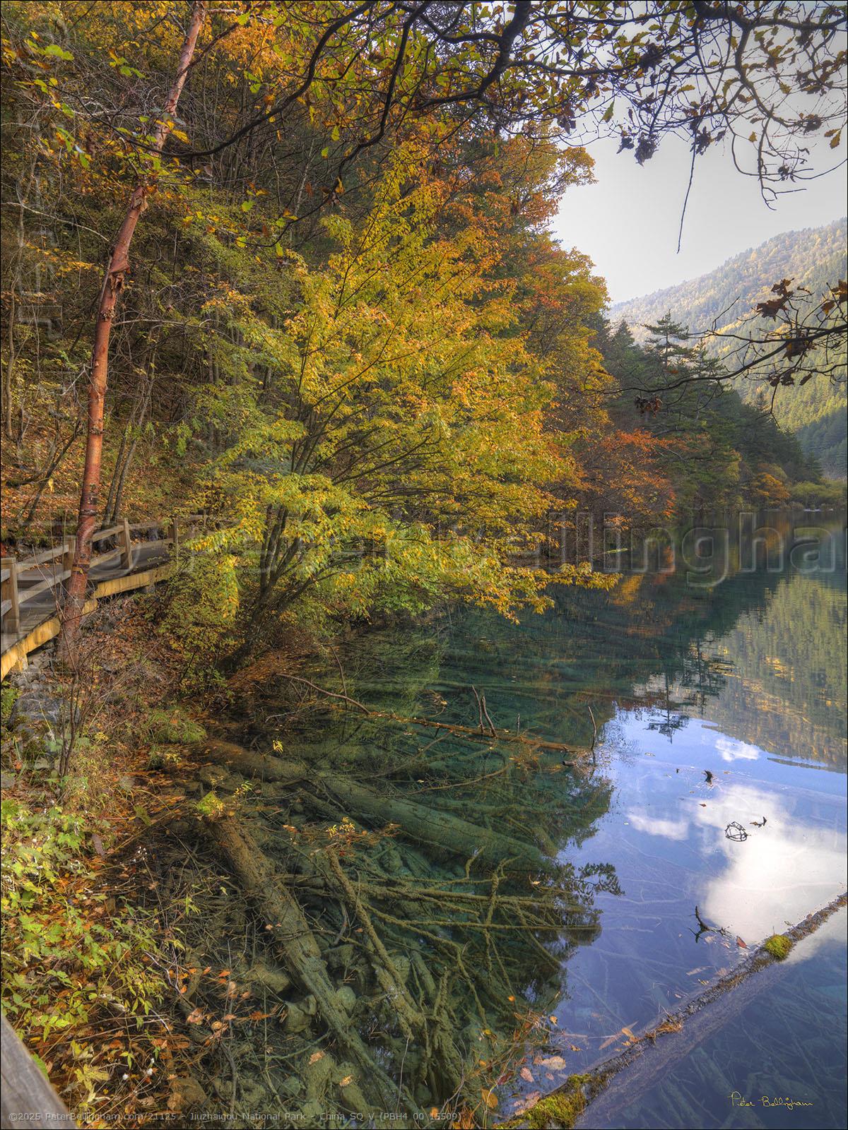 Peter Bellingham Photography Jiuzhaigou National Park - China SQ V (PBH4 00 15509)